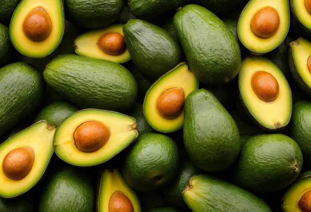 avocat tropical